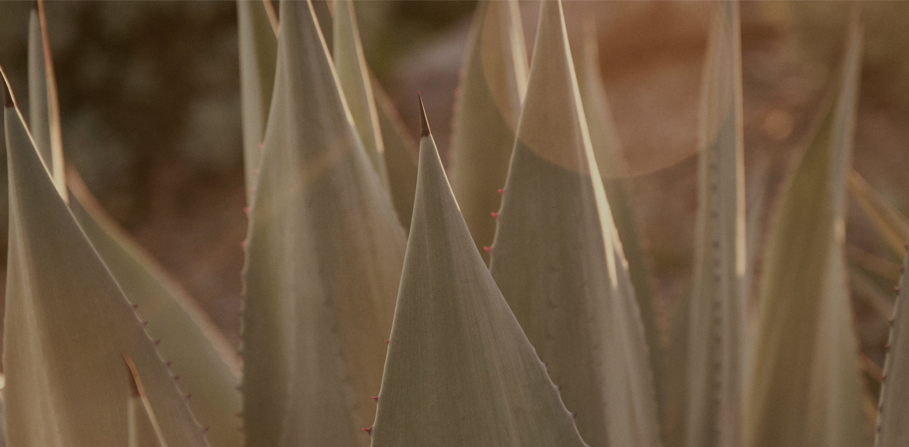 Product photo showing item details and features