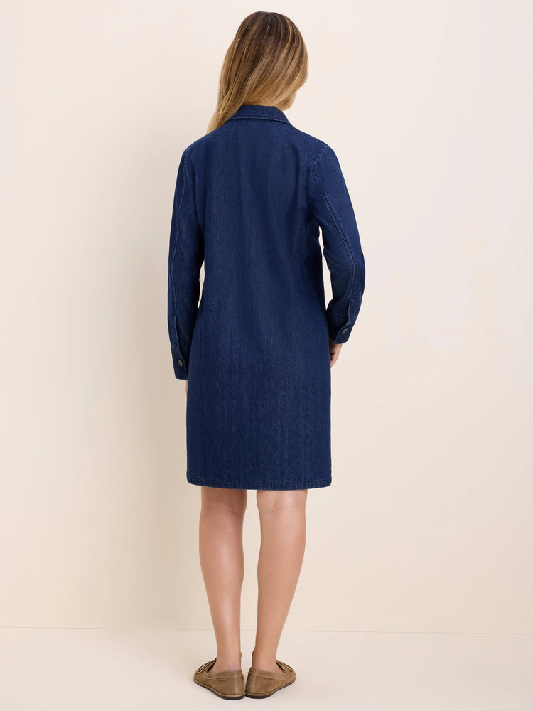 Dark blue collared denim dress, long sleeves, straight knee-length cut. Back view on model.