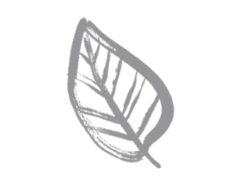 Product photo showing item details and features