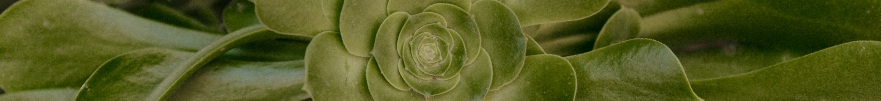 Product photo showing item details and features