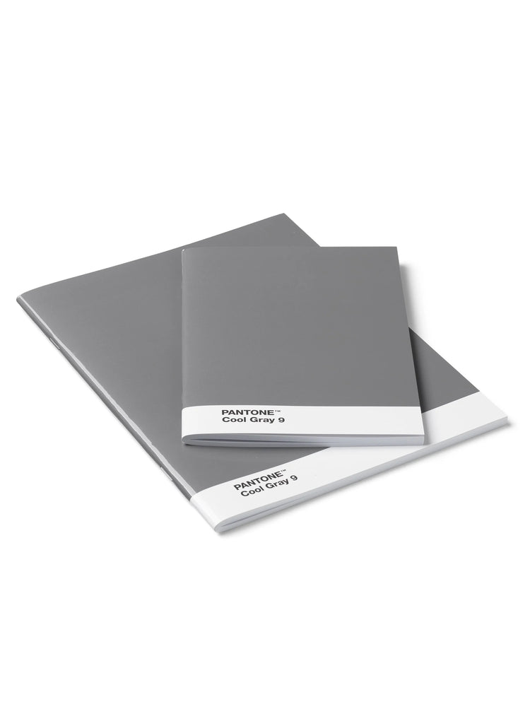 Two notebooks, one larger, one smaller. Both are medium gray with a white band on the cover that reads "PANTONE Cool Gray 9".