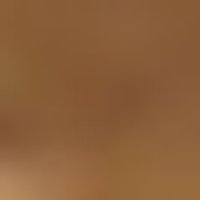 Smooth, uniform swatch of warm caramel brown.