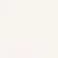 Smooth, very pale, warm off-white, like uncooked oats.
