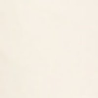 Pale ivory swatch with a soft, matte finish and a subtle, finely textured surface.