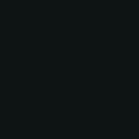 Solid black with a smooth, uniform appearance and no visible texture.