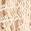 Light beige, rough, speckled texture, similar to sandy stone.