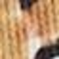 Warm, earthy brown & tan with mottled streaks. Appears to have a textured, natural surface.