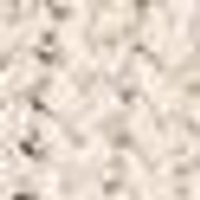 Pale cream with scattered dark brown flecks. Granular, stony texture.