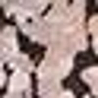 Pale pinkish-beige with dark brown, irregular patches. Mottled, rough texture.