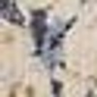 NUM: Distressed beige-tan with dark/light grey mottling. Rough, uneven texture.