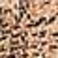 Speckled tan and dark brown, with a coarse, granular texture. Color code: NUM