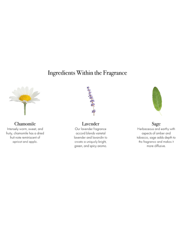 White chamomile with yellow center, purple lavender sprig, green sage leaf illustrating fragrance ingredients.
