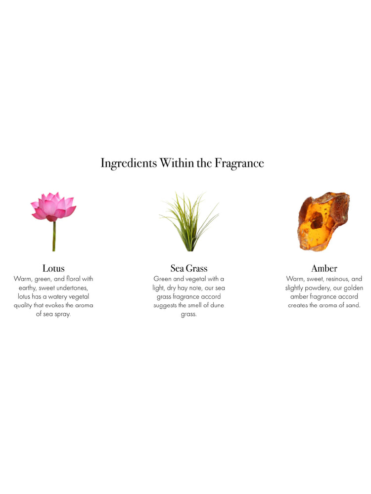 Visualizing the candle's fragrance: pink lotus, green sea grass, and golden amber.