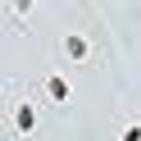 Pale gray with dark gray, irregular speckles, creating a subtly flecked visual texture.