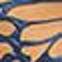 Smooth, warm tan-brown shapes on a dark blue, textured background.