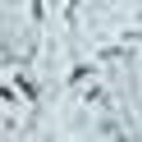 Pale blue-grey base with dark grey, irregular specks. Mottled, rough texture like worn stone.