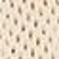 Pale cream color, coarse texture with uniform small dark holes.