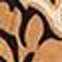 Smooth, glossy, with light brown and dark brown/black swirls creating a marbled look.