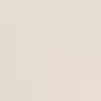 Light beige with a subtle, soft matte texture.