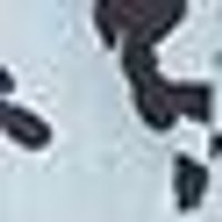Pale blue-white with irregular, dark brown/black splatters. Smooth, slightly mottled texture.