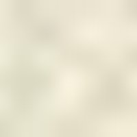 Very light, creamy beige with a soft, smooth, and uniformly blurred texture.