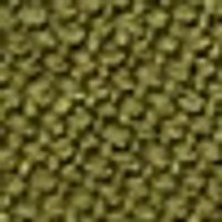 Muted, dark olive green. Densely textured surface with fine, irregular bumps.