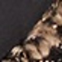 Dark charcoal fabric with a textured area of speckled tan and brown.