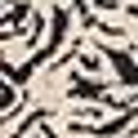 Fuzzy, cream-colored swatch with blurred, irregular black stripes, resembling animal fur.