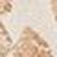 Soft, mottled blend of cream, beige, and light brown. Irregular texture. NUM