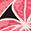 Hot pink color swatch.