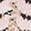 Spotted black and pale cream pattern swatch.