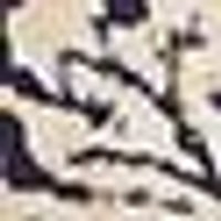 Rough, mottled cream with dark grey and purplish specks. (NUM)