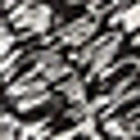 Black, white & gray irregular mottled pattern, like snakeskin or camouflage.