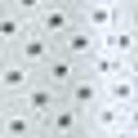 Light grey with many small, dark, circular holes.