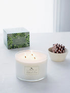 White soy candle in clear glass, three wicks burning, with a green and white label.  Box shows green pine cone design.