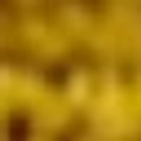 Soft, blurry texture of mottled golden yellow and brown.