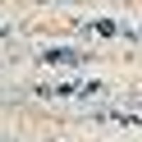 Light cream speckled with grey, black, and hints of blue/brown. Granular, rough texture.