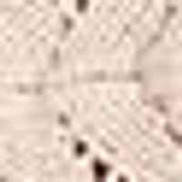 Pale sepia fabric with a fine, woven texture and darker speckles.