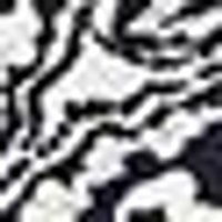 Soft, blurred black & white animal print with organic stripes. Visually fuzzy texture.