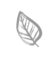 Product photo showing item details and features