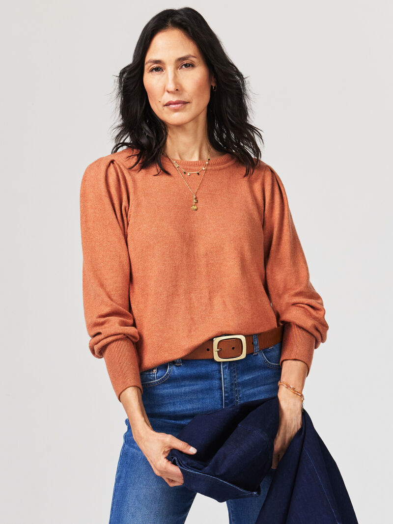 Woman Wears Femme Sleeve Sweater image number 0