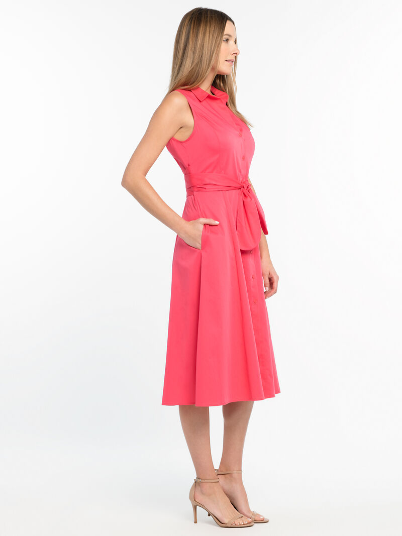 Woman Wears Santa Monica Dress image number 1