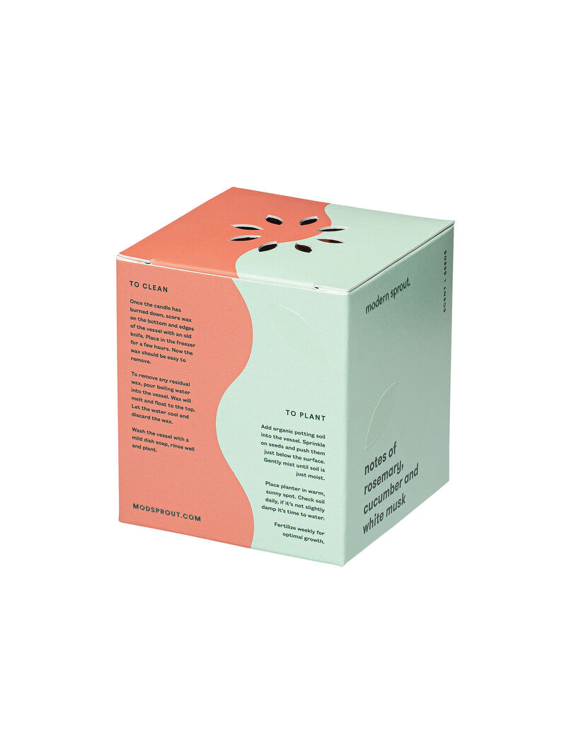Woman Wears Modern Sprout - Rosemary Candle image number 3