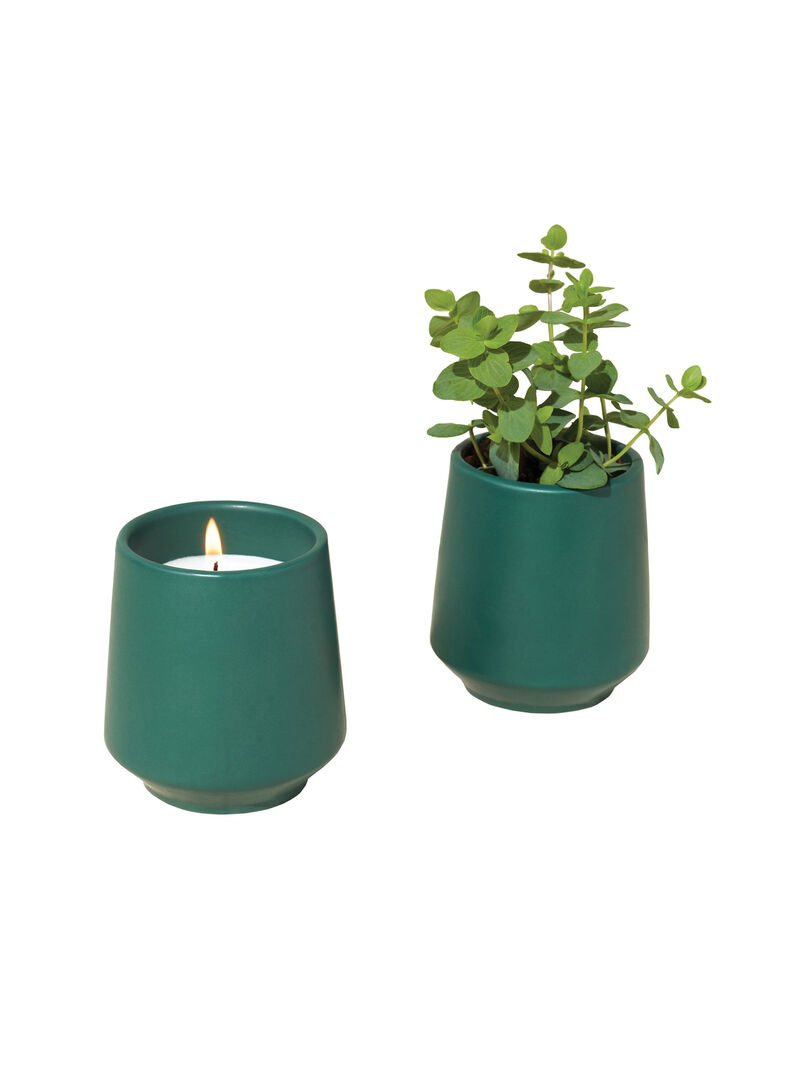 Woman Wears Modern Sprout - Thyme Candle image number 0