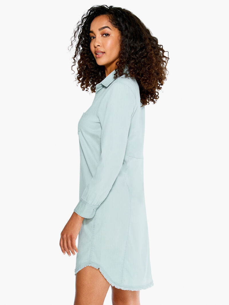 Woman Wears Denim Day Dress image number 1