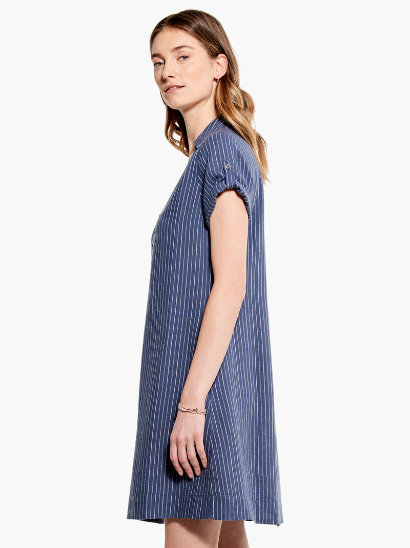 Woman Wears Central Park Day Dress image number 1