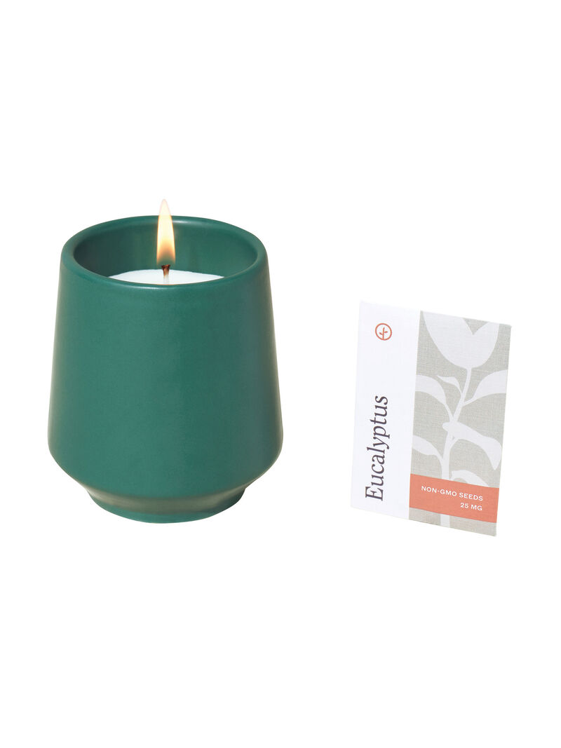 Woman Wears Modern Sprout - Thyme Candle image number 1