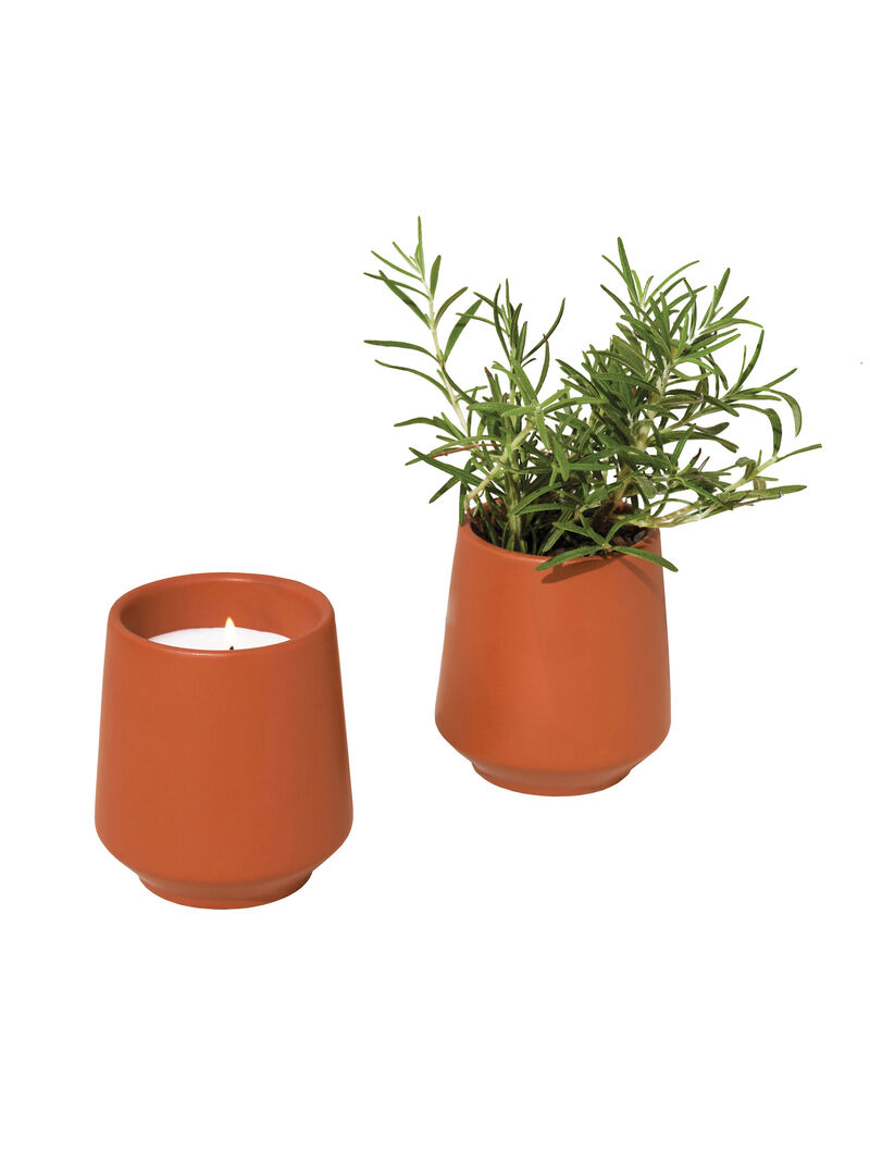 Woman Wears Modern Sprout - Rosemary Candle image number 0