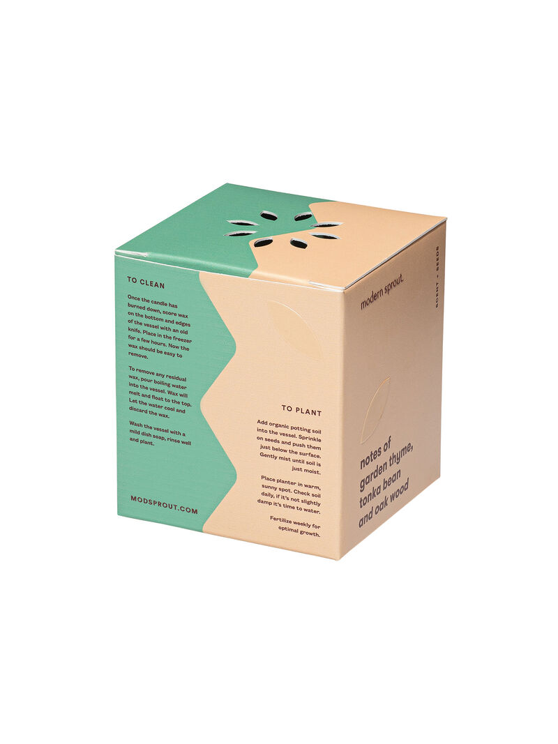 Woman Wears Modern Sprout - Thyme Candle image number 3