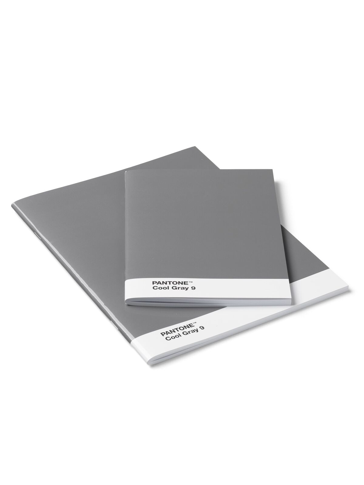 Pantone - 2 Pack Notebooks